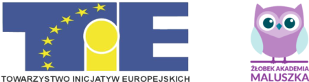 Towarzystwo Inicjatyw Europejskich